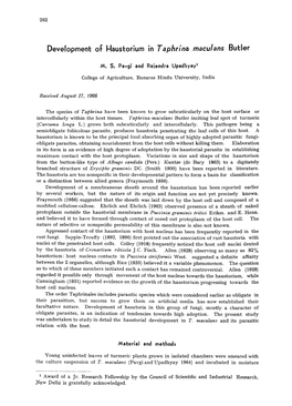 Development of Haustorium in Taphrina Maculans Butler