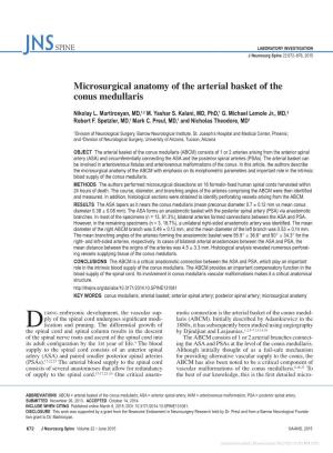 Microsurgical Anatomy of the Arterial Basket of the Conus Medullaris
