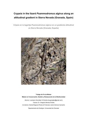 Crypsis in the Lizard Psammodromus Algirus Along an Altitudinal Gradient in Sierra Nevada (Granada, Spain)