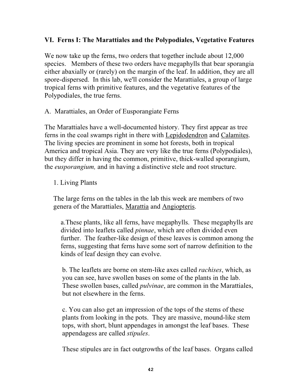 VI. Ferns I: the Marattiales and the Polypodiales, Vegetative Features We Now Take up the Ferns, Two Orders That Together Inclu