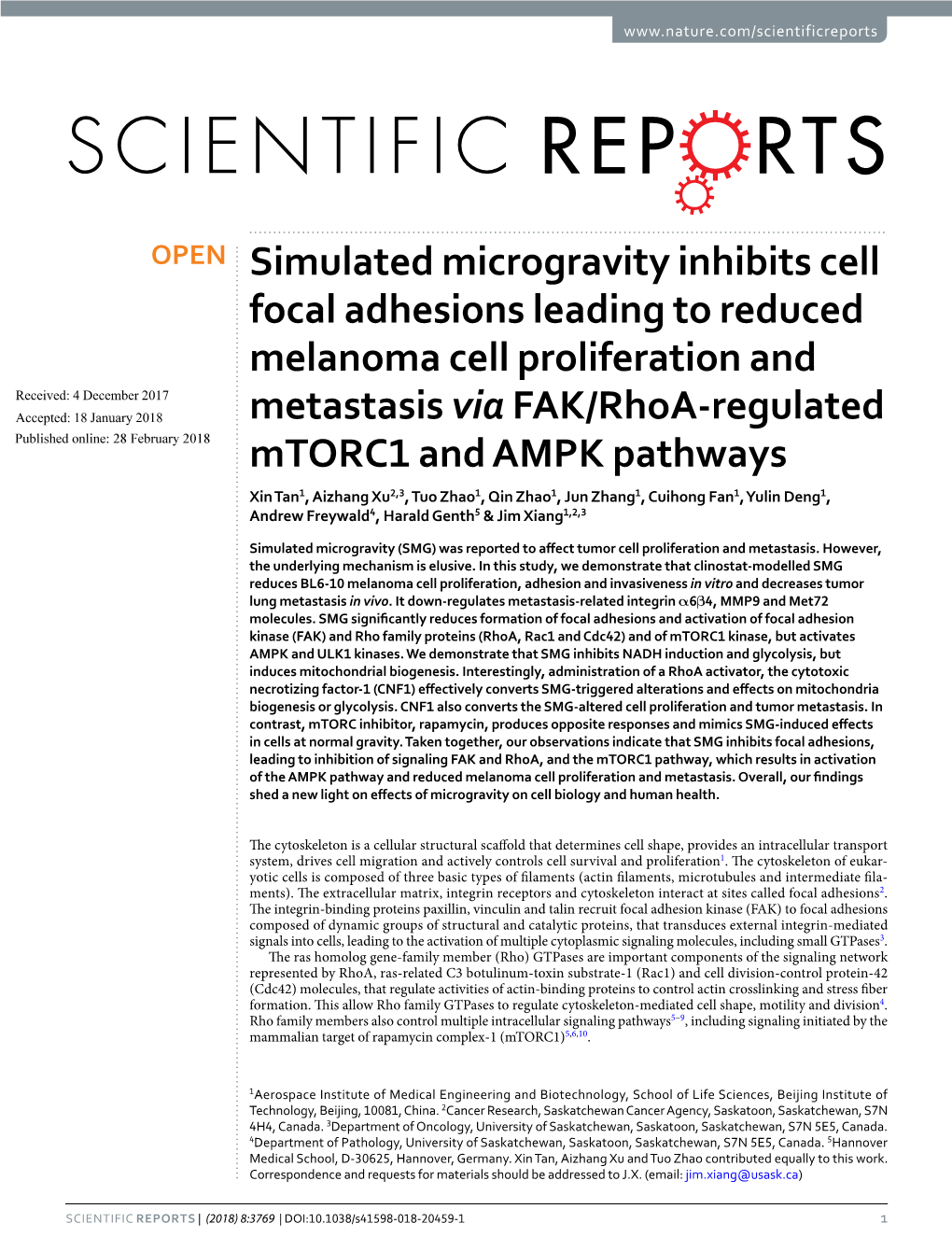 Simulated Microgravity Inhibits Cell Focal Adhesions Leading to Reduced