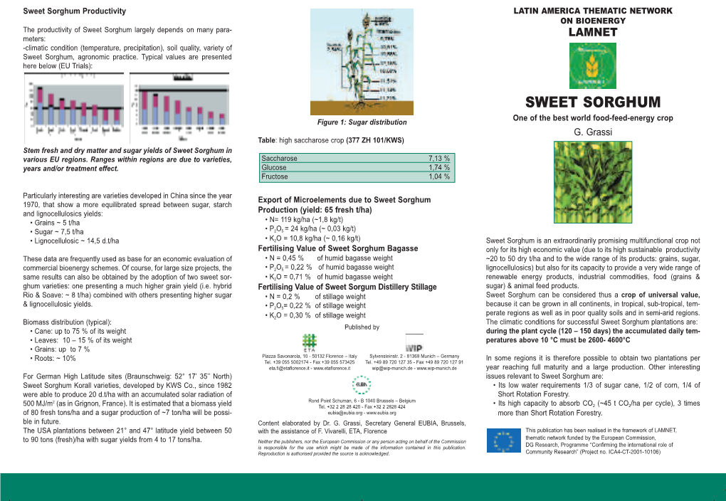Sweet Sorghum Plantation Can Substitute ~ 11 TOE of Net of TOE 11 ~ Substitute Can Plantation Sorghum Sweet of Ha One