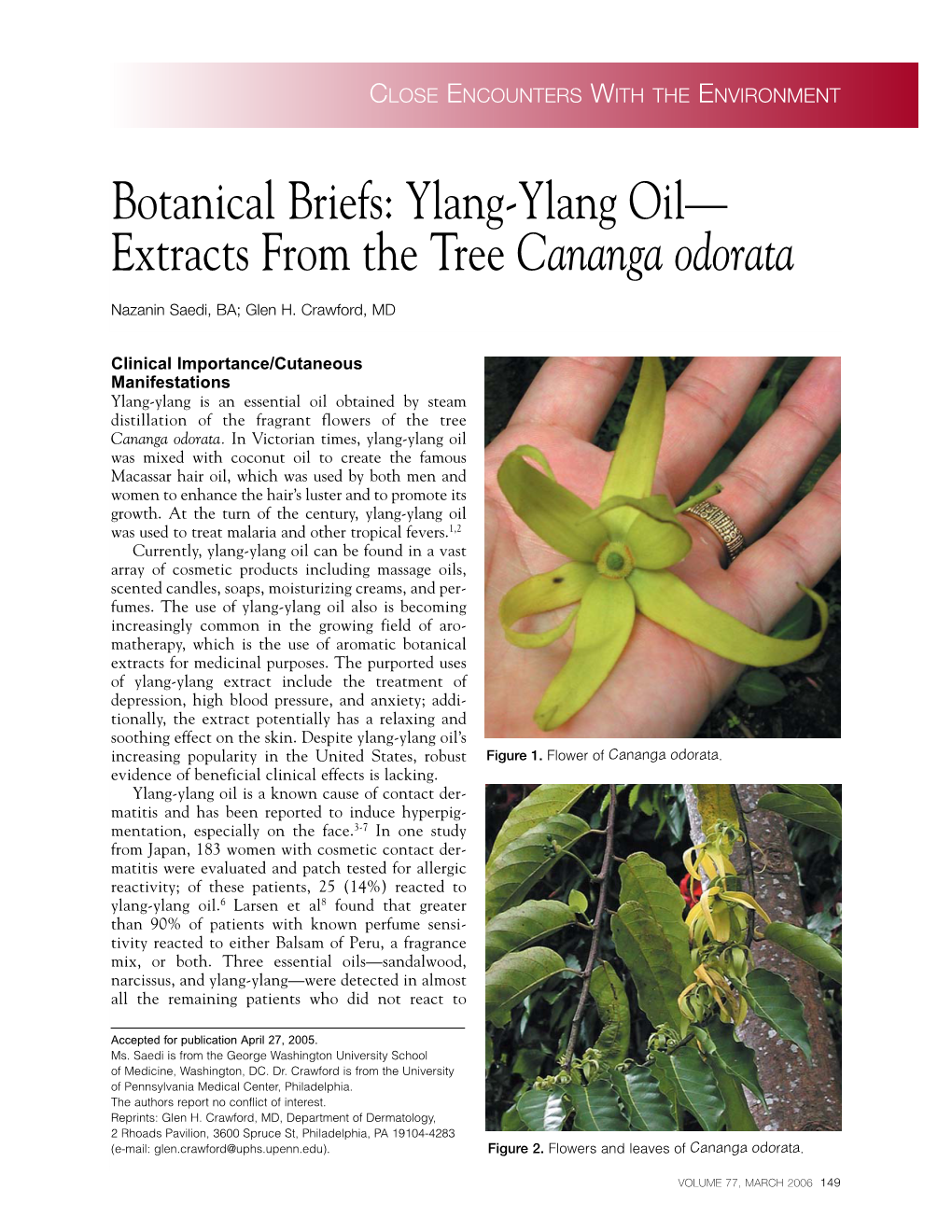 Botanical Briefs: Ylang-Ylang Oil— Extracts from the Tree Cananga Odorata