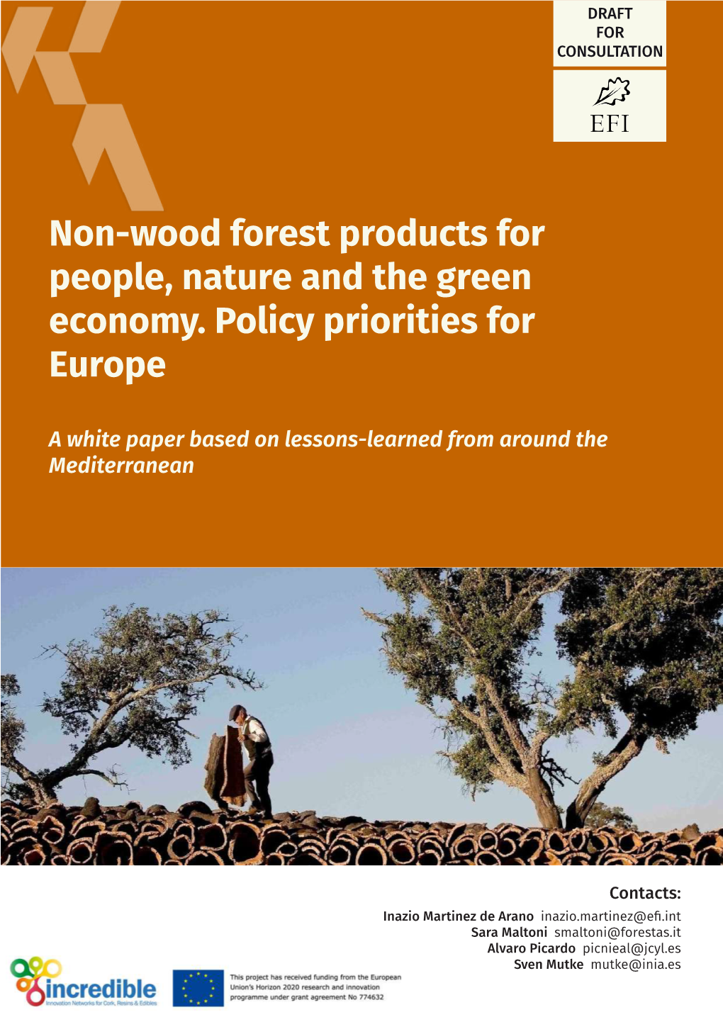 Non-Wood Forest Products for People, Nature and the Green Economy