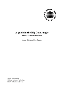 A Guide in the Big Data Jungle Thesis, Bachelor of Science
