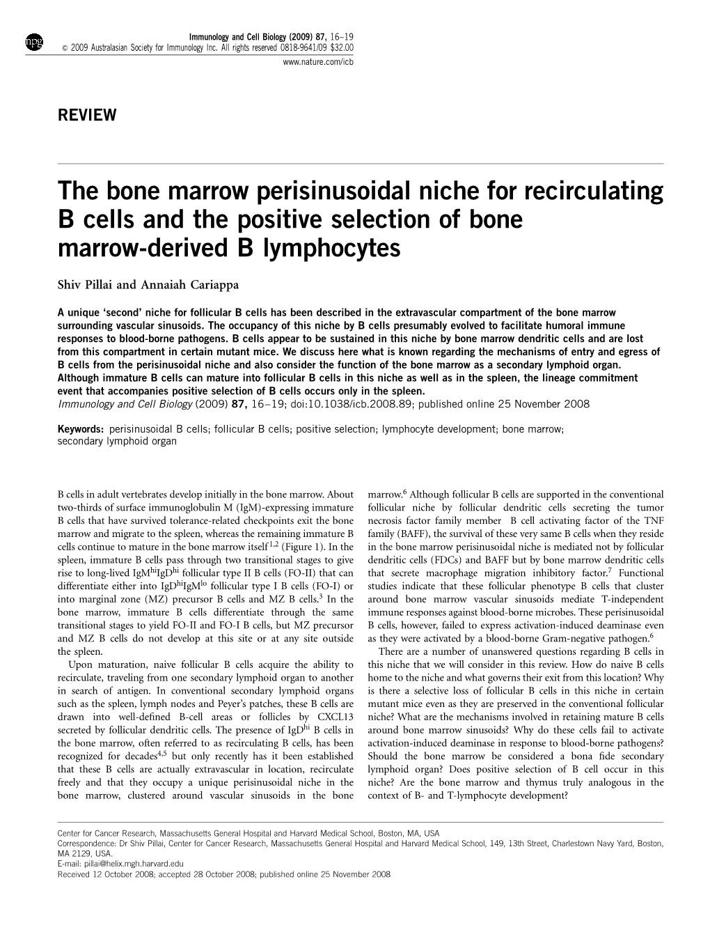 The Bone Marrow Perisinusoidal Niche for Recirculating B Cells and the Positive Selection of Bone Marrow-Derived B Lymphocytes
