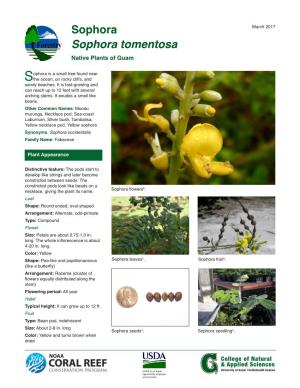 Sophora March 2017 Sophora Tomentosa Native Plants of Guam