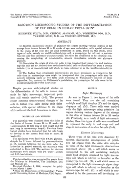 Electron Microscopic Studies of the Differentiation of Fat Cells in Human Fetal Skin
