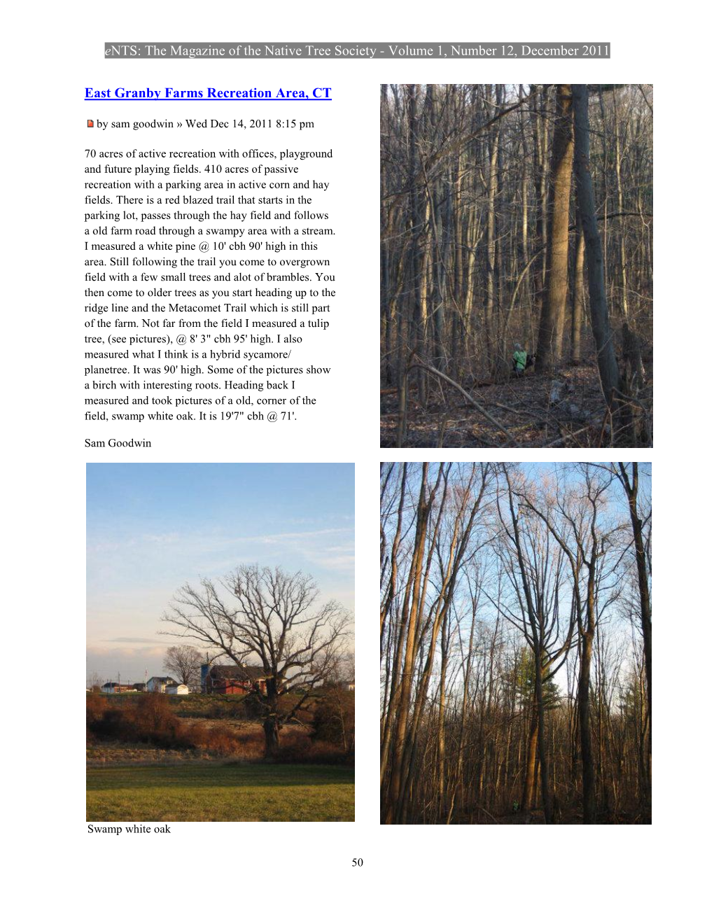 Ents: the Magazine of the Native Tree Society - Volume 1, Number 12, December 2011