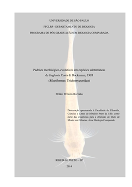 Padrões Morfológico-Evolutivos Em Espécies Subterrâneas De Ituglanis Costa & Bockmann, 1993 (Siluriformes: Trichomycteridae)