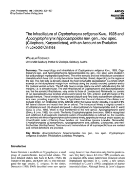 The Infraciliature of Cryptopharynx Setigerus KAHL, 1928 and Apocryptopharynx Hippocampoides Nov