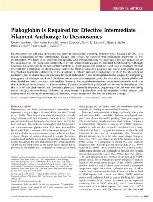 Plakoglobin Is Required for Effective Intermediate Filament Anchorage to Desmosomes Devrim Acehan1, Christopher Petzold1, Iwona Gumper2, David D
