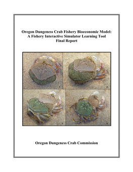 Oregon Dungeness Crab Fishery Bioeconomic Model: a Fishery Interactive Simulator Learning Tool Final Report