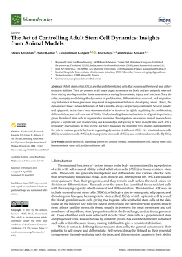 The Act of Controlling Adult Stem Cell Dynamics: Insights from Animal Models