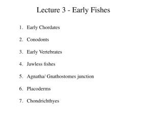 Lecture 3 - Early Fishes