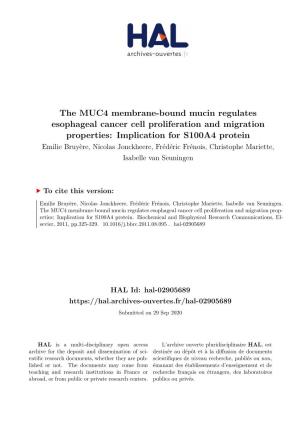 The MUC4 Membrane-Bound Mucin Regulates