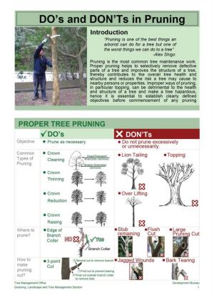DO's and DON'ts in Pruning