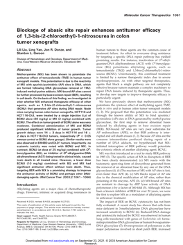 Blockage of Abasic Site Repair Enhances Antitumor Efficacy of 1,3-Bis-(2-Chloroethyl)-1-Nitrosourea in Colon Tumor Xenografts