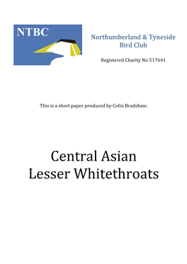 Central Asian Lesser Whitethroats