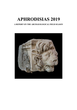 Aphrodisias 2019 a Report on the Archaeological Field Season