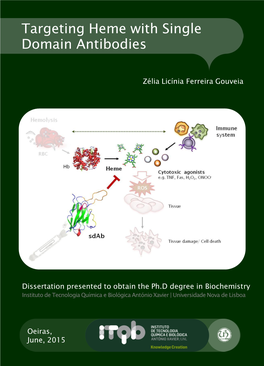 Targeting Heme with Single Domain Antibodies