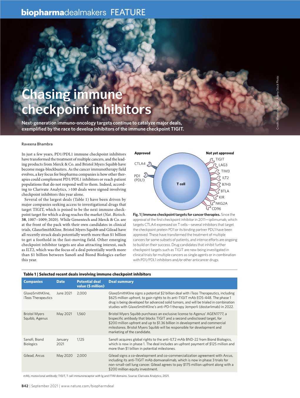 Chasing Immune Checkpoint Inhibitors