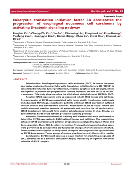 Eukaryotic Translation Initiation Factor 3B Accelerates the Progression of Esophageal Squamous Cell Carcinoma by Activating Β-Catenin Signaling Pathway