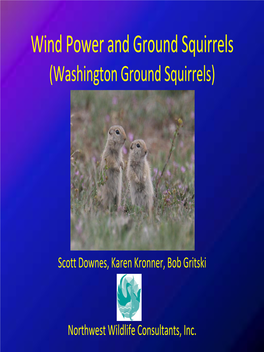 Wind Power and Ground Squirrels (Washington Ground Squirrels)