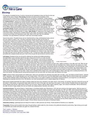 Shrimp: Wildlife Notebook Series