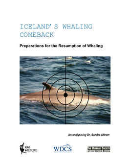 Iceland's Whaling Comeback