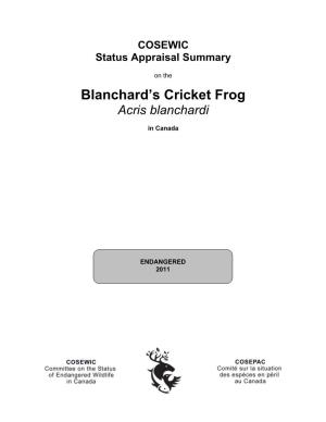 Blanchard Cricket Frog (Acris Blanchardi)