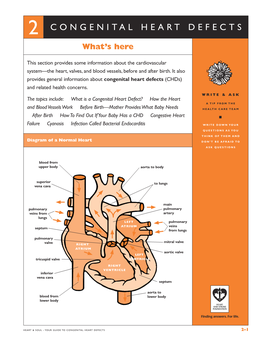 CONGENITAL HEART DEFECTS What’S Here