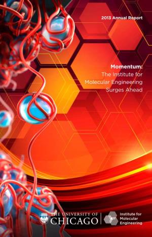Momentum: the Institute for Molecular Engineering Surges Ahead IME Annual Report 2013 Momentum: IME Surges Ahead the University of Chicago Table of Contents 1
