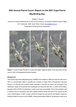 Report on the 2021 Cape Parrot Big Birding Day