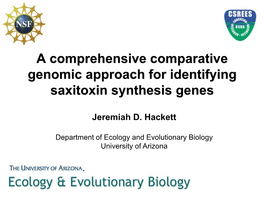 Anabaena Circinalis Identifying STX Synthesis Genes
