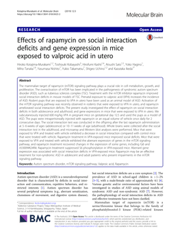 Effects of Rapamycin on Social Interaction Deficits and Gene