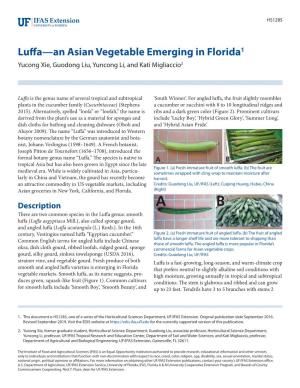 Luffa—An Asian Vegetable Emerging in Florida1 Yucong Xie, Guodong Liu, Yuncong Li, and Kati Migliaccio2