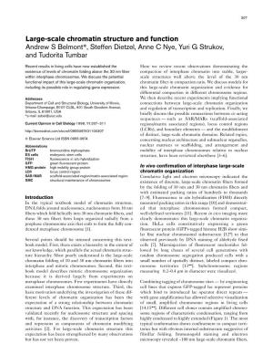 Large-Scale Chromatin Structure and Function Andrew S Belmont*, Steffen Dietzel, Anne C Nye, Yuri G Strukov, and Tudorita Tumbar