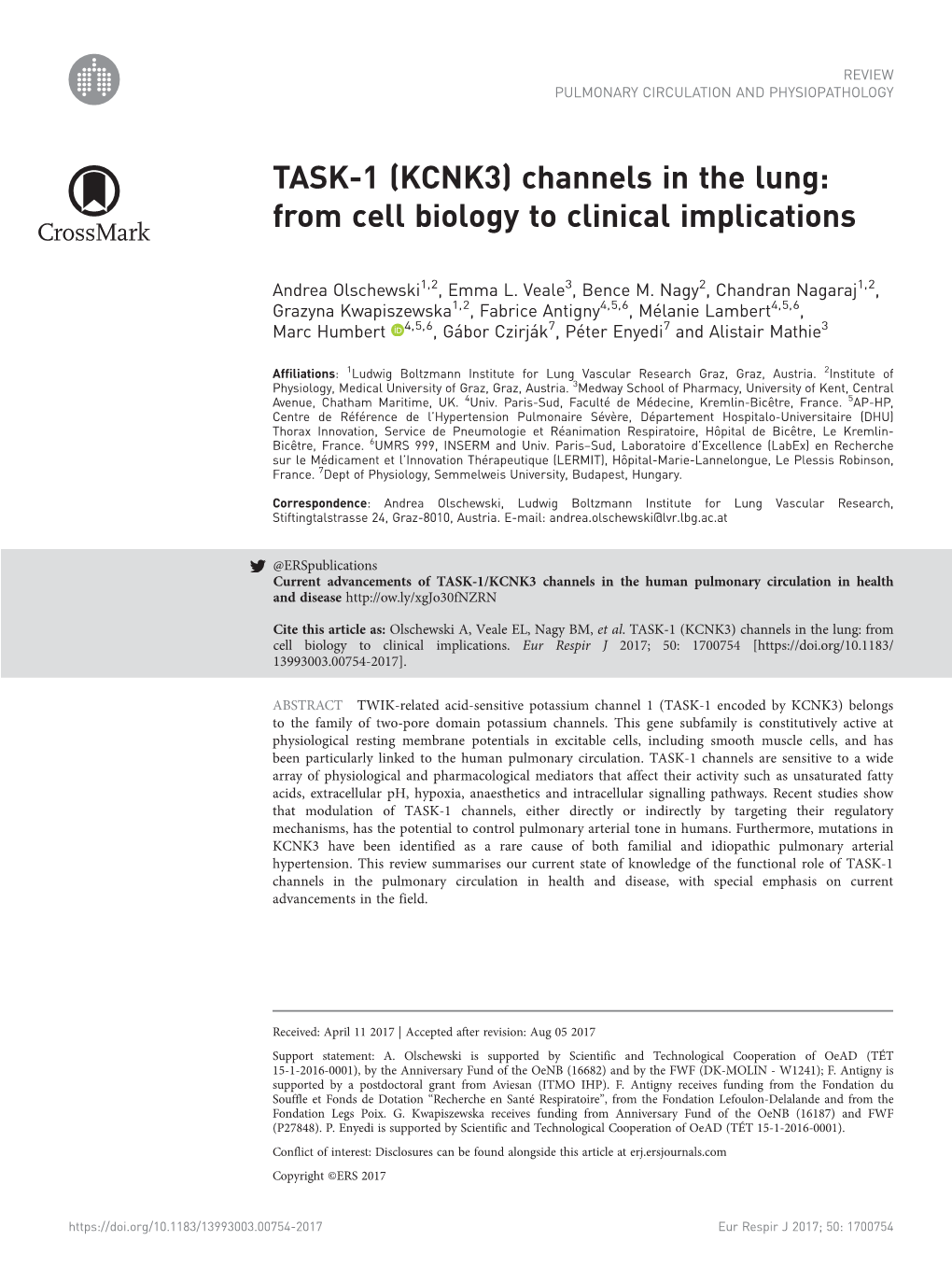 (KCNK3) Channels in the Lung: from Cell Biology to Clinical Implications