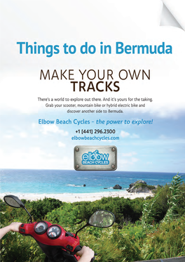 Things to Do in Bermuda”, “Worth Going To…The Tour Guides Are Awesome!!!”