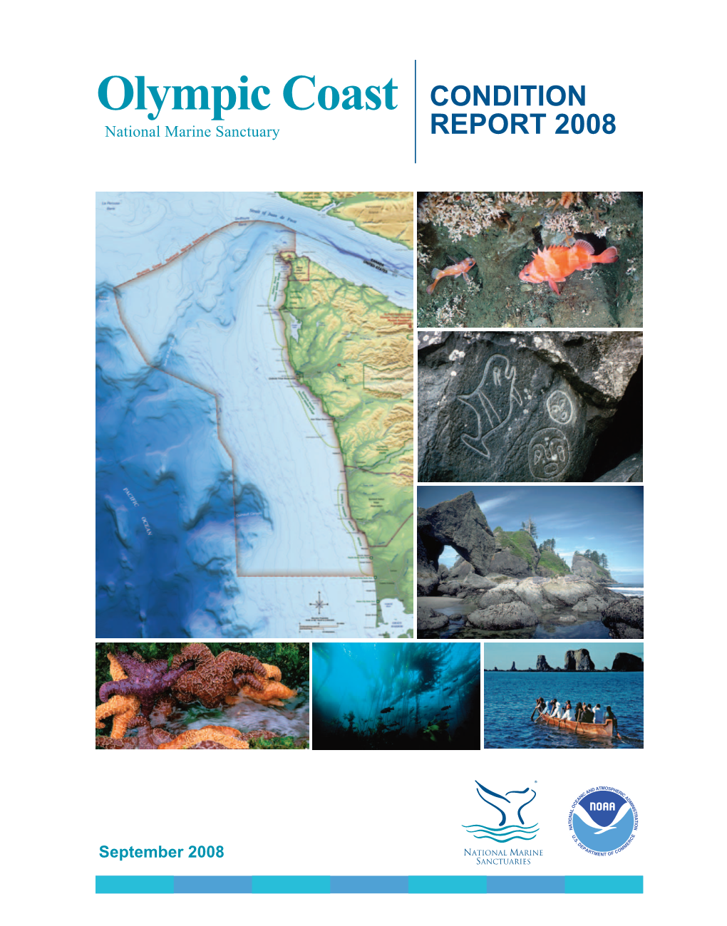 Olympic Coast CONDITION REPORT 2008