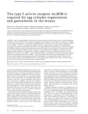 The Type I Activin Receptor Actrib Is Required for Egg Cylinder Organization and Gastrulation in the Mouse