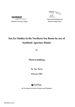 Sea Ice Studies in the Northern Sea Route by Use of Synthetic Aperture Radar