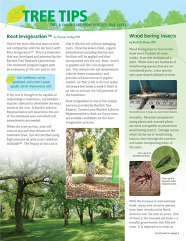Tree Tips Tree & Shrub Care from Bartlett Tree Experts