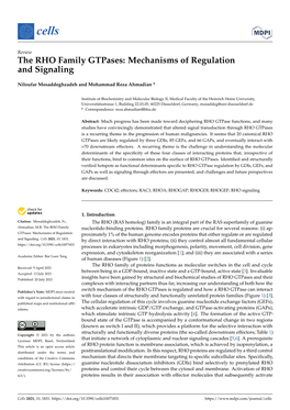 The RHO Family Gtpases: Mechanisms of Regulation and Signaling