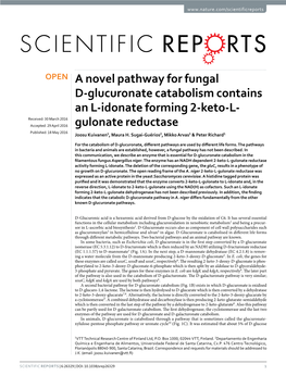 A Novel Pathway for Fungal D-Glucuronate Catabolism Contains