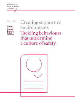 Creating Supportive Environments Tackling Behaviours That Undermine a Culture of Safety Executive Summary