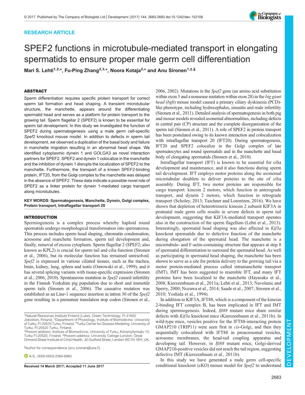 SPEF2 Functions in Microtubule-Mediated Transport in Elongating Spermatids to Ensure Proper Male Germ Cell Differentiation Mari S