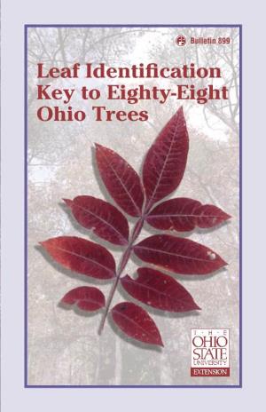 Leaf Identification Key to Eighty-Eight Ohio Trees