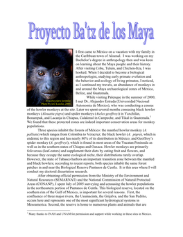 Proyecto Ba'tz De Los Maya